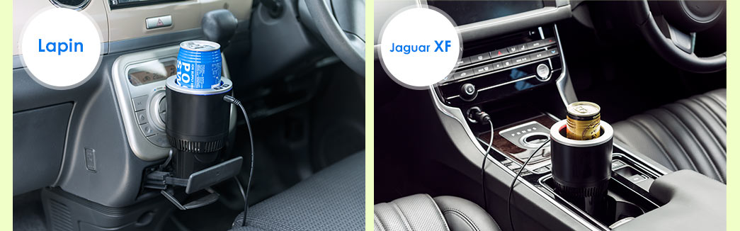 Lapin Jaguar XF